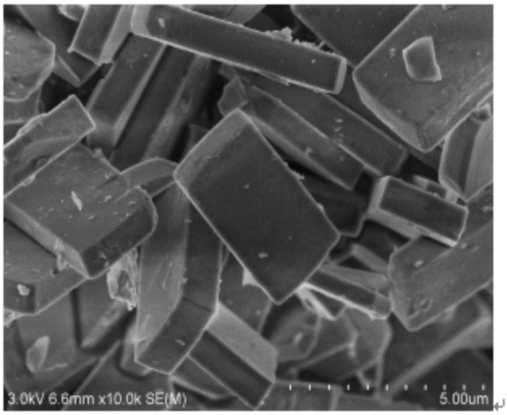 Titanium Silicon Molecular Sieve（2）