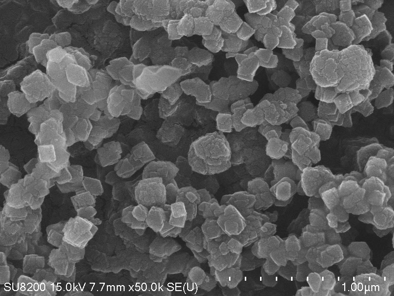 Sn-Beta Molecular Sieve: An Innovative Catalyst for Selective Transformations